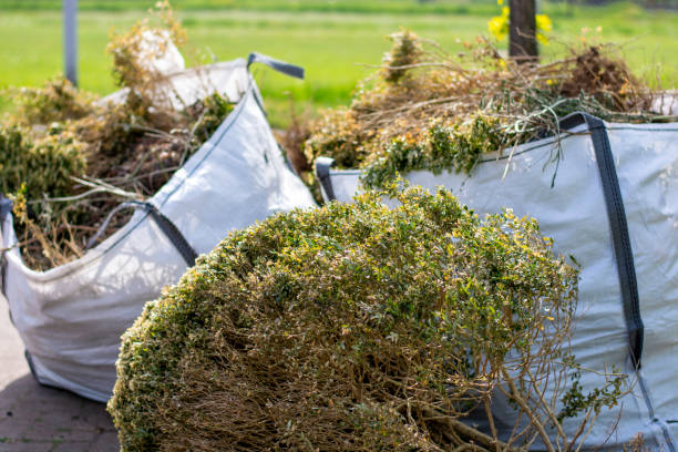 Best Junk Removal Near Me  in Shenandoah Heights, PA
